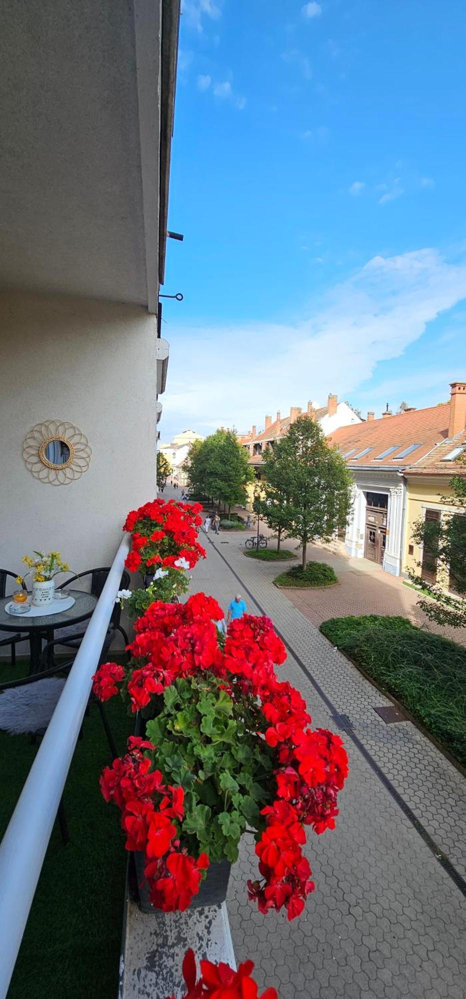 Anna Gyöngye Apartman Debrecen Dış mekan fotoğraf